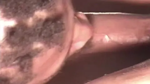 DirtyNewYork - Thugs Down Under