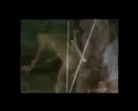 Best of Kevin Williams