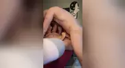 Kayden Gray féconde Leo Grand