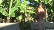 islandstuds 1
