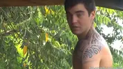 islandstuds 2
