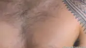 islandstuds 2