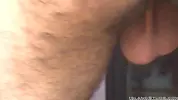 islandstuds 2