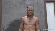 islandstuds 3