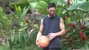 islandstuds 6