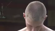 islandstuds 7