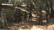 Grunts Brothers In Arms- Steve Cruz Solo