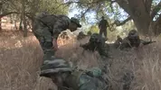 Grunts Brothers In Arms- Steve Cruz Solo