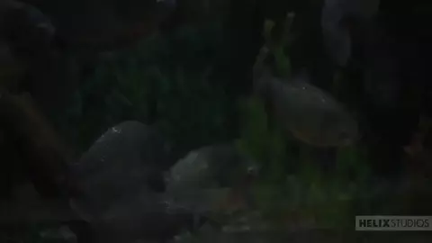 Fidanzati twink sexy — Cole & Blake