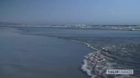 porn sexy hot couple beach sex max sean