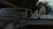 Película