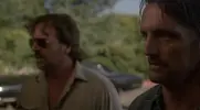 Película