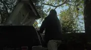 Película