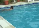 Le rêve de tout poolboy