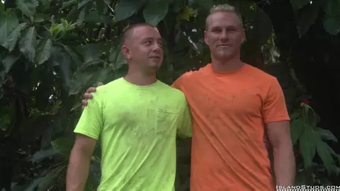 islandstuds 10