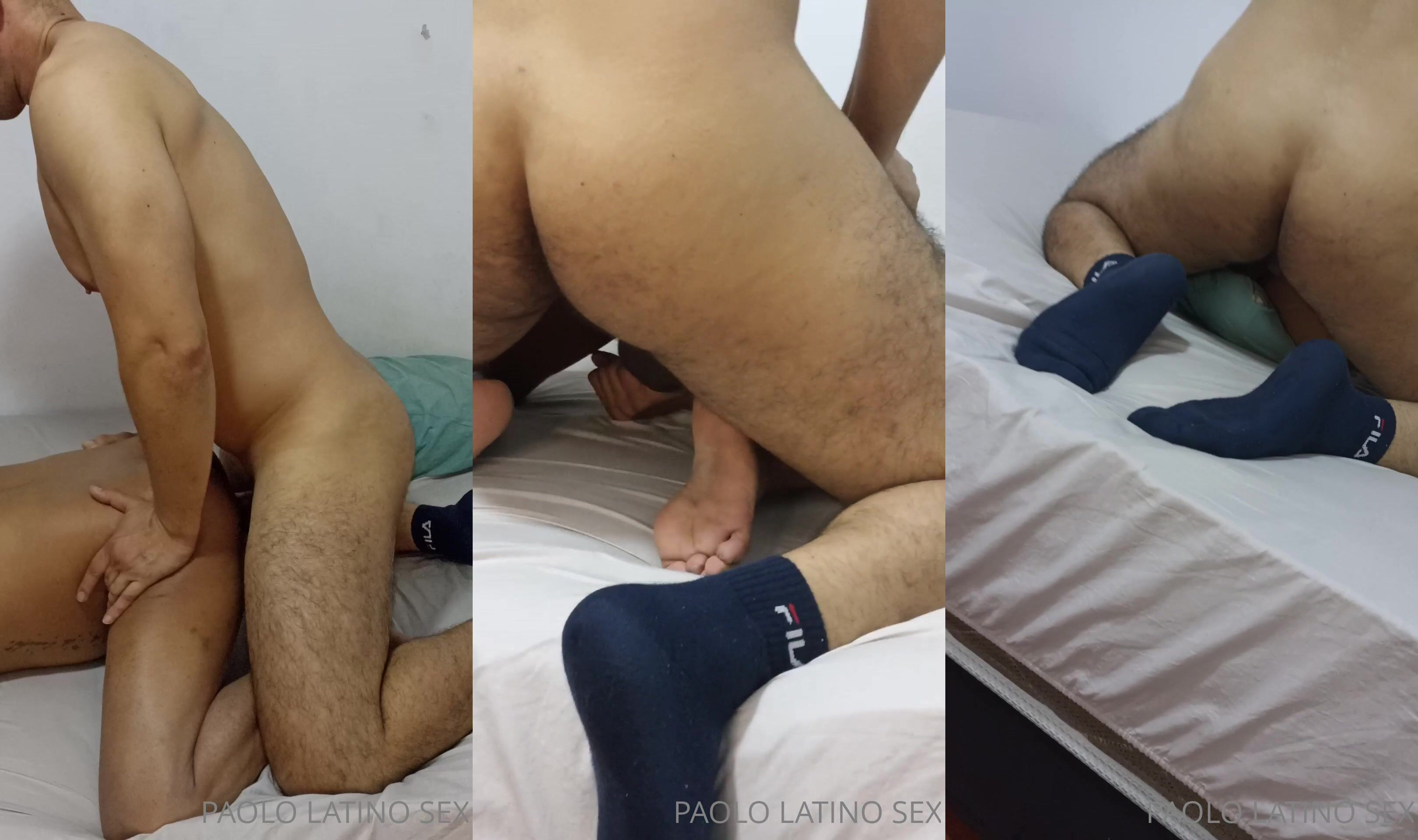 paolo 413