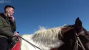 4horlover___GAMS742
