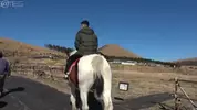 4horlover___GAMS742