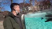 4horlover___GAMS742