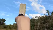 Contos de Disciplina Vol. 256