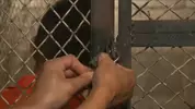 Men on Edge : Alexander Gustavo edge en prison par deux pervers