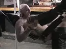 Passivi aggressivi