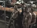 Passivi aggressivi