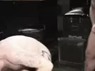 Passivi aggressivi