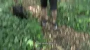Couple porno sexy en extérieur – Paul Hunte