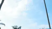 Protezione e assistenza: Reclamo per rumore