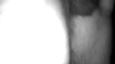 Anal jusqu’au ventre