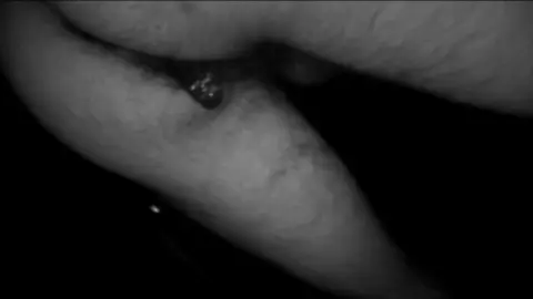 Anale fino alla pancia