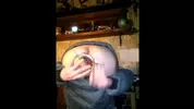 O meu novo grande brinquedo anal 2 (anel anal)