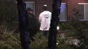 Breed It Raw 2: Bury Da Dick