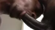 Breed It Raw 2: Bury Da Dick