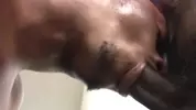 Breed It Raw 2: Bury Da Dick
