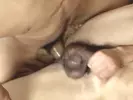 Huge Black Dicks Reloaded