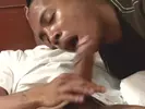 Huge Black Dicks Reloaded