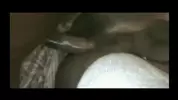 Black Boy and DL Chill Spot CEO and Murda - Helping The Homeless
