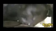 Black Boy and DL Chill Spot CEO and Murda - Helping The Homeless