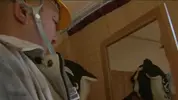 Beefy Daddies 360p 2