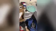 Andrew Duff violates his straight roommate Jordan Bloch