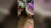 Andrew Duff violates his straight roommate Jordan Bloch