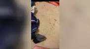 Andrew Duff violates his straight roommate Jordan Bloch