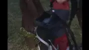 Foda estrangeira