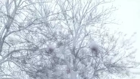 Pareja de twinks calientes – Mickey y Tim