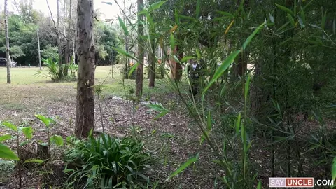 Gruppenorgie unter Kumpels: René, Rick, Félix & Caetano