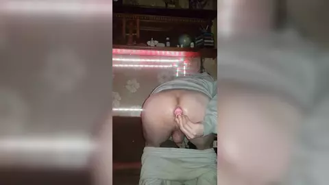 Dois dildos no meu cu