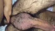 Brincando com cu e pau peludos