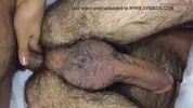 Brincando com cu e pau peludos
